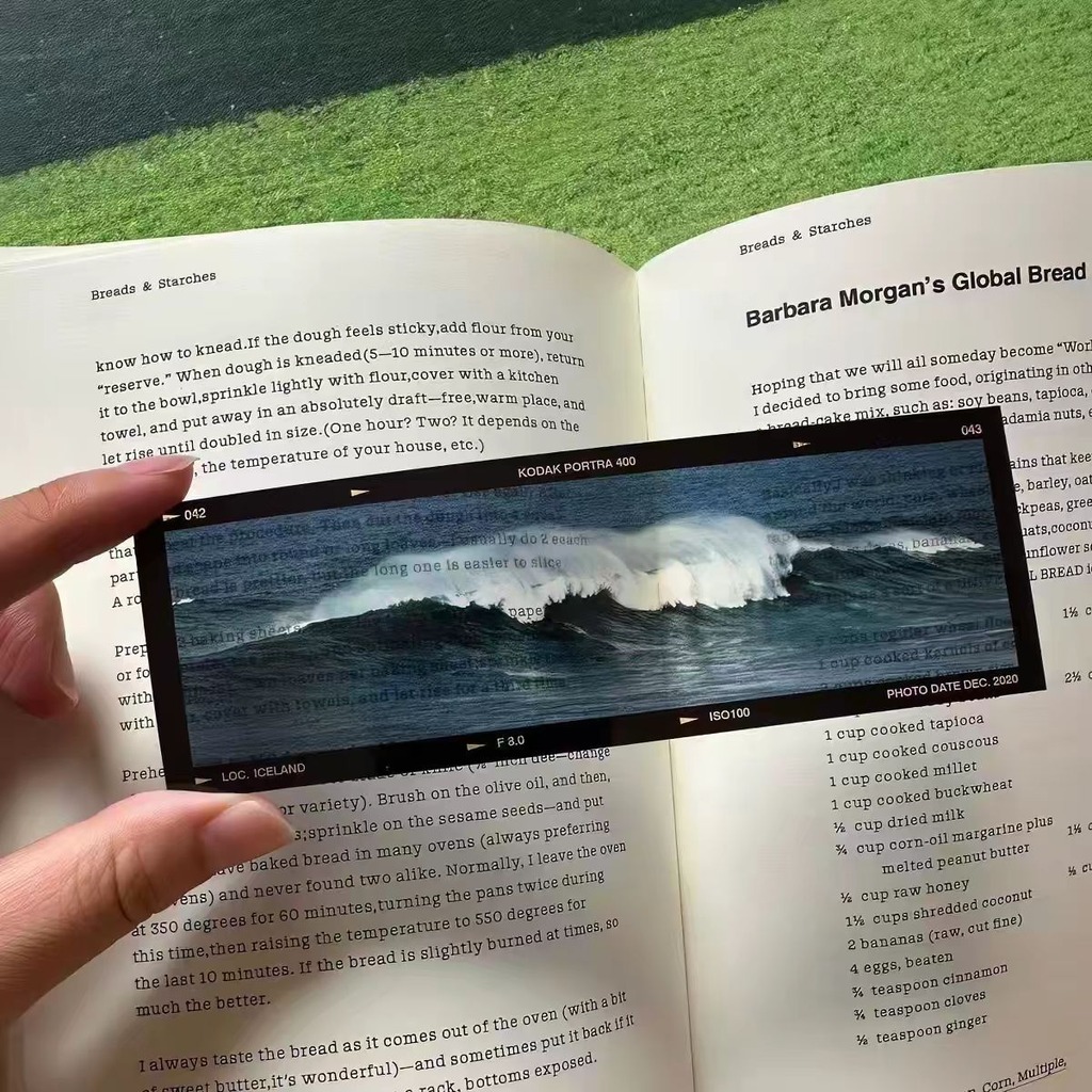 Pembatas Buku Akrilik Bergaya  - Dried Flower Bookmark ulasan dan harga